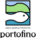 logo_pf