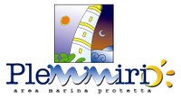 logo plemmirio